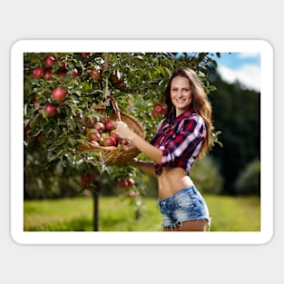 Beautiful woman picking apples Sticker